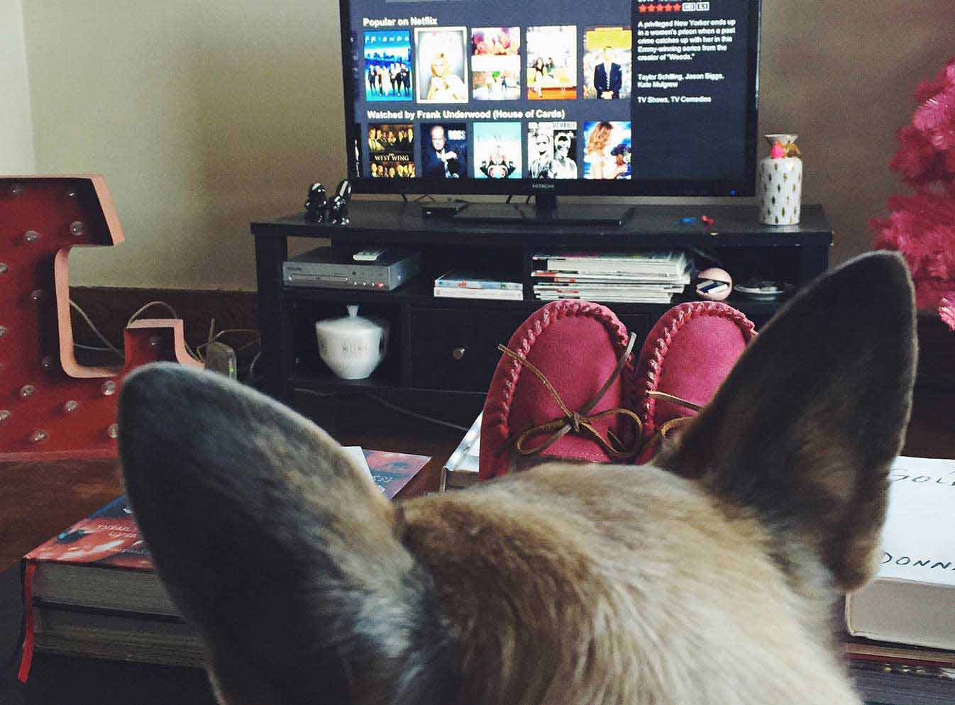 Girl and dog watching TV
